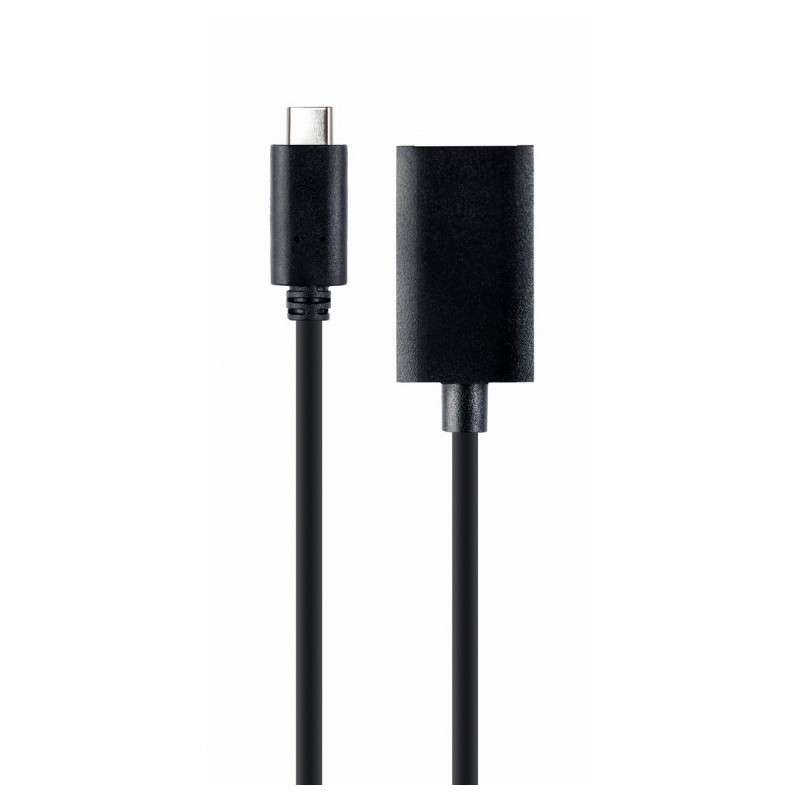 Adapter USB-C do DisplayPort 4K 15 cm