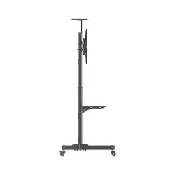Stojak mobilny Manhattan 37"-70", 50kg 2 półki