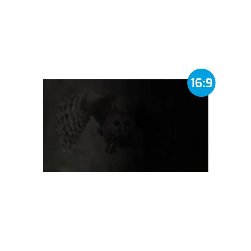 Filtr prywatyzujący RODO Natec Owl 13,3" 16:9