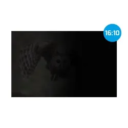 Filtr prywatyzujący RODO Natec Owl 16" 16:10