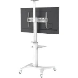 Stojak mobilny Techly 37''-70'', 70kg 2 półki