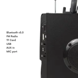 Głośnik przenośny bluetooth Audiocore AC730 radio FM, wejście kart SD/MMC,