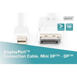 Kabel DisplayPort DIGITUS DP/M-DPmini /M, 1.1a biały, 3m