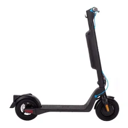 Hulajnoga elektryczna Riley RS2 Standard 350W