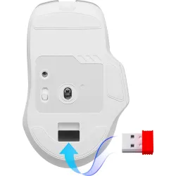 Mysz bezprzewodowa Defender ASTRO ELITE GM-056 optyczna 3200dpi biała RGB