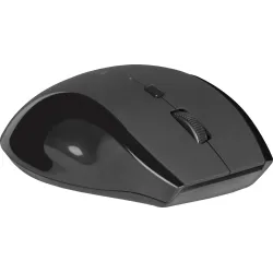 Mysz bezprzewodowa Defender ACCURA MM-295 optyczna 1600dpi 6P czarna