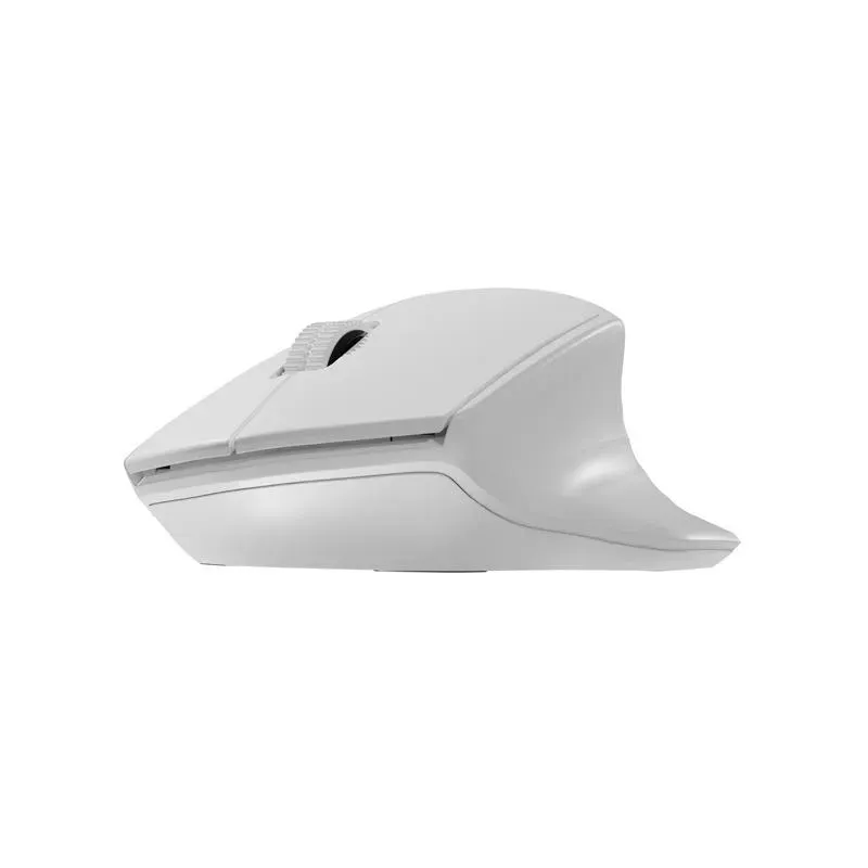 Mysz bezprzewodowa Natec Siskin 2 optyczna 1600 DPI BT 5.0 + 2.4 GHz z