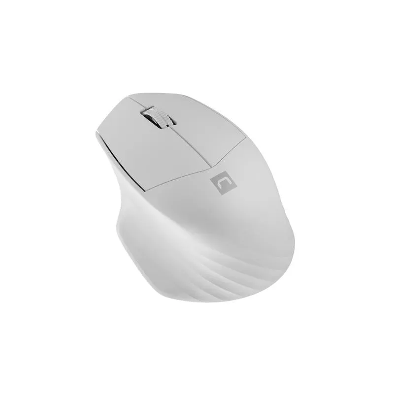Mysz bezprzewodowa Natec Siskin 2 optyczna 1600 DPI BT 5.0 + 2.4 GHz z