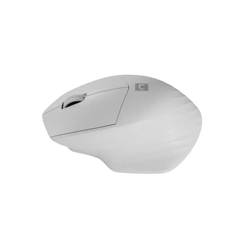 Mysz bezprzewodowa Natec Siskin 2 optyczna 1600 DPI BT 5.0 + 2.4 GHz z