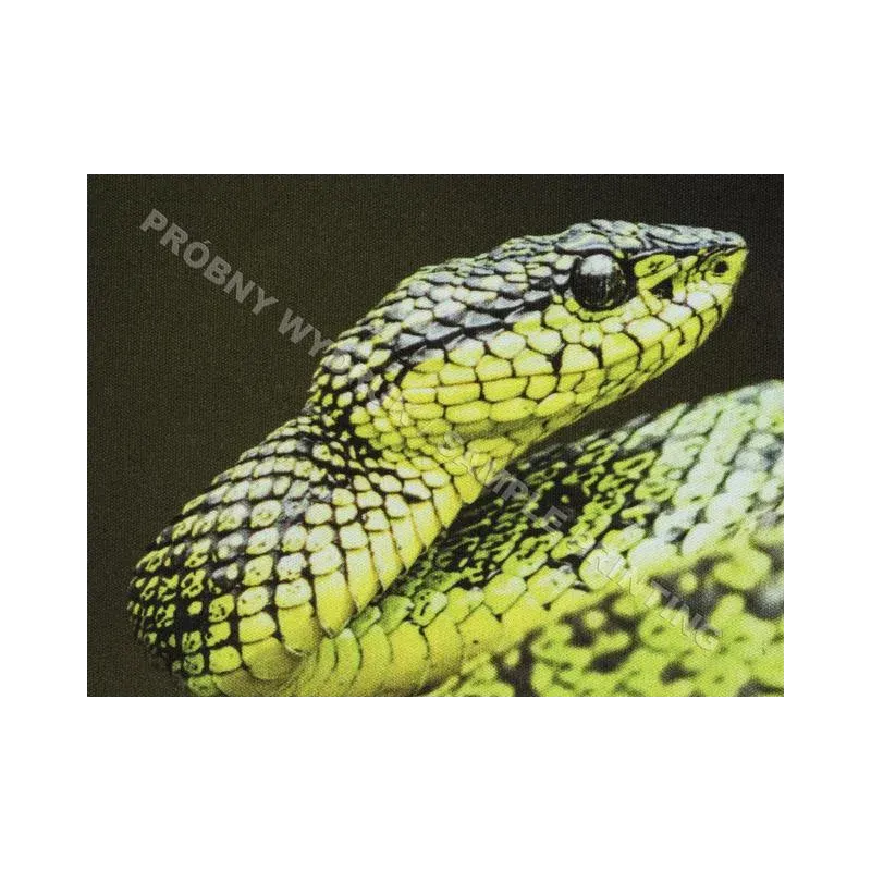 Podkładka pod mysz Printable Natec White 220 X 180