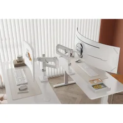 Ramię biurkowe pojedyncze DIGITUS z zaciskiem i sprężyną | PartsPC.pl