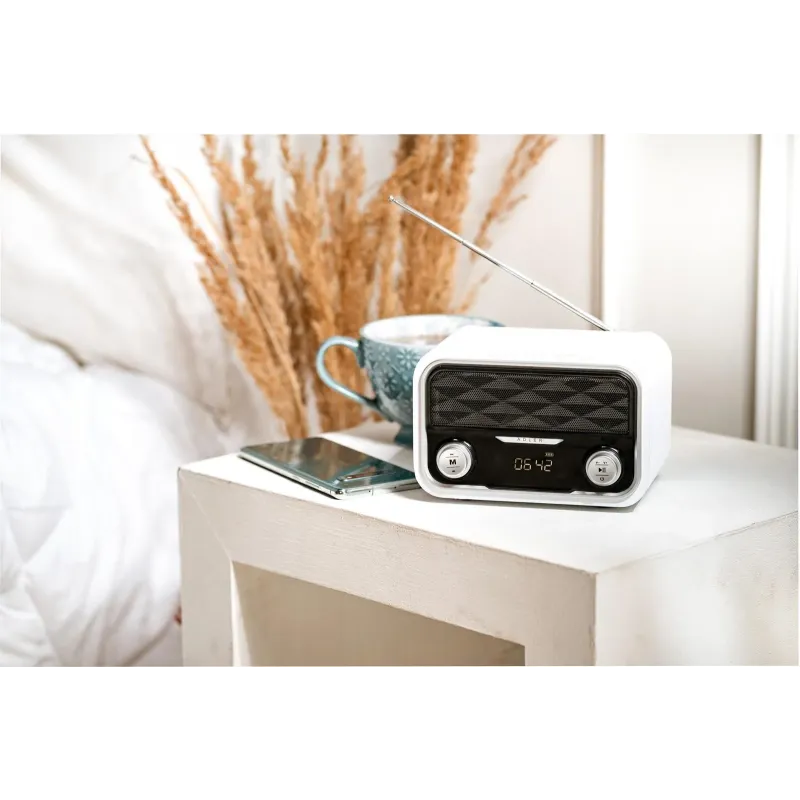 Radio Bluetooth Adler AD 1185