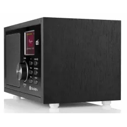 Radio przenośne GoGen DAB620BTCB