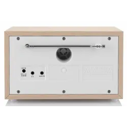 Radio przenośne GoGen DAB620BTCS