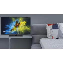 Telewizor GoGEN TVF32M340STWEB 32” - Telewizory | PartsPC.pl