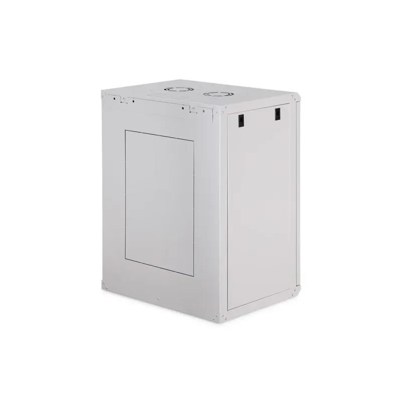 Szafa sieciowa wisząca jednosekcyjna DIGITUS Dynamic 19" 16U, 600x450,