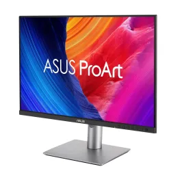 Monitor Asus 24,1" ProArt PA248QFV IPS WUXGA 100Hz HDMI DP 4xUSB 3.0