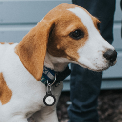 Belkin Uchwyty na AirTag z kółkiem do kluczy, 4 szt., czarne