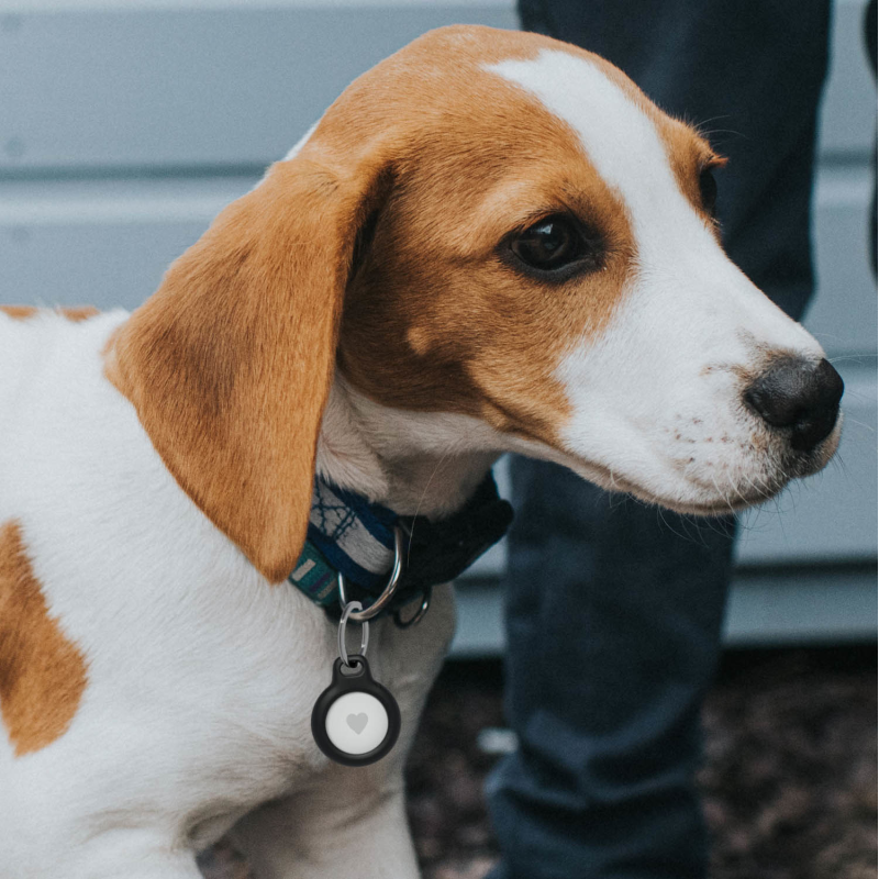 Belkin Uchwyty na AirTag z kółkiem do kluczy, 4 szt., czarne