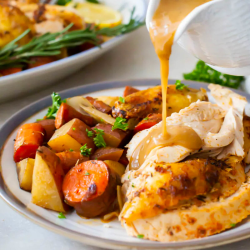 TESLA SlowCook S350 slow cooker wolnowar