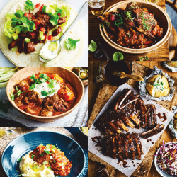 TESLA SlowCook S800 Deluxe Slow Cooker wolnowar