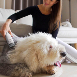 TESLA PetCare Station TQ500 Pro zestaw do pielęgnacji zwierząt