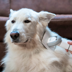 TESLA PetCare Station TQ500 Pro zestaw do pielęgnacji zwierząt