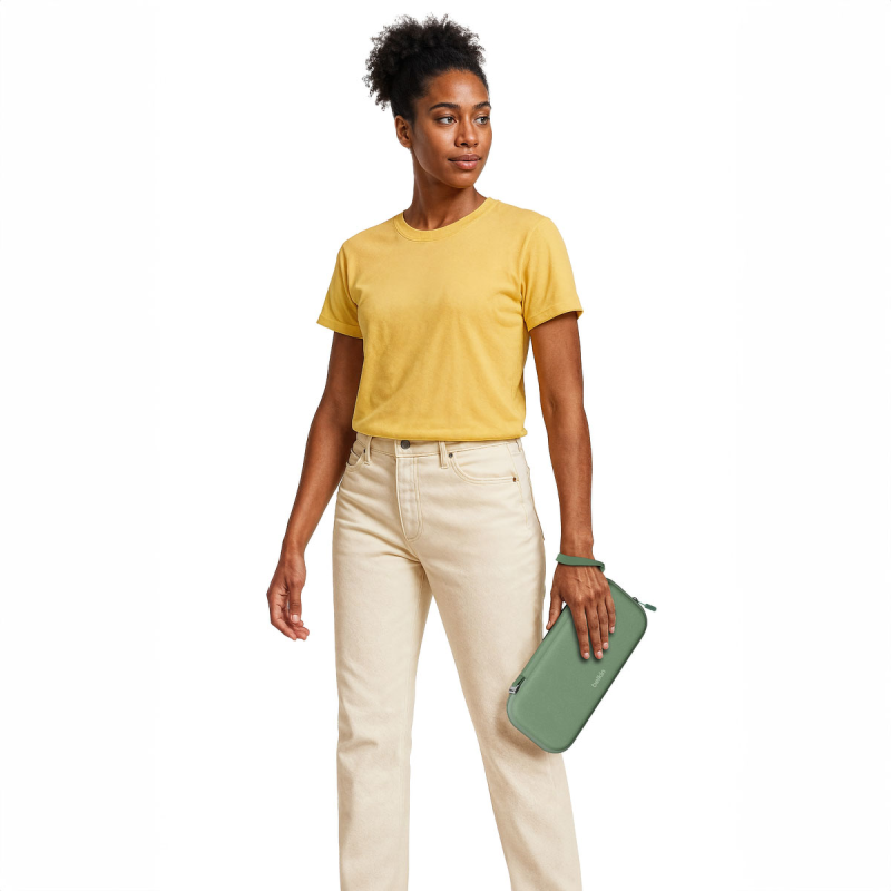 Belkin Etui podróżne na Nintendo Switch 2, szałwiowe