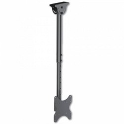 Uchwyt sufitowy Techly 23"-42", 50kg regulowany