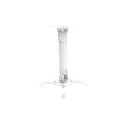 Ramię do projektora Techly 38-58 cm. 13,5kg, sufitowe, srebrne