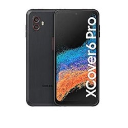 Samsung Smartfon Galaxy Xcover Pro 6 DualSIM Enterprise Edition czarny