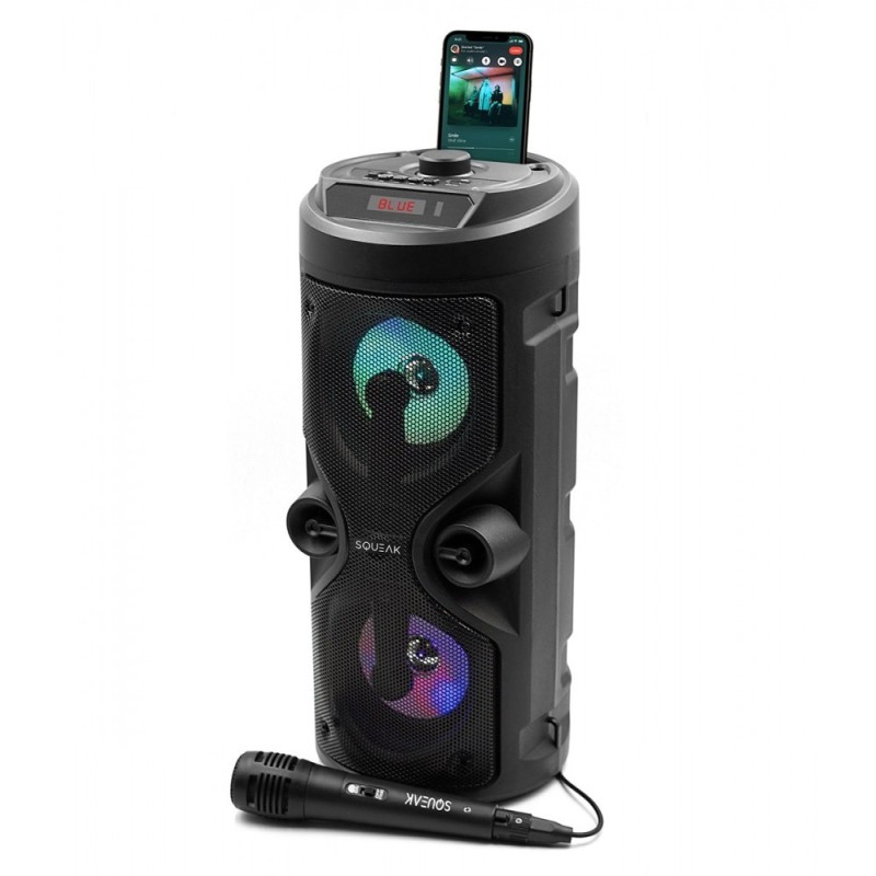Głośnik karaoke SQUEAK Harmony Bluetooth 5.0 | PartsPC.pl