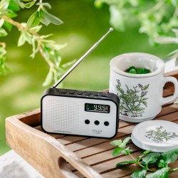 Radio cyfrowe PLL AD1907 | PartsPC.pl
