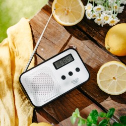 Radio cyfrowe PLL AD1907 | PartsPC.pl