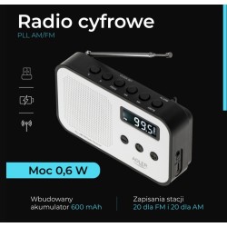 Radio cyfrowe PLL AD1907 | PartsPC.pl