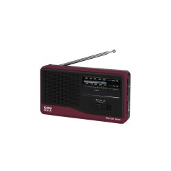 Radio Asia Czarny | PartsPC.pl