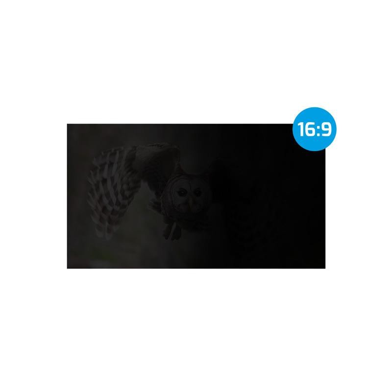 Filtr prywatyzujący RODO Natec Owl 15,6" 16:9 | PartsPC.pl