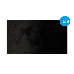 Filtr prywatyzujący RODO Natec Owl 21,5" 16:9 | PartsPC.pl