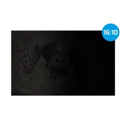 Filtr prywatyzujący RODO Natec Owl 16" 16:10
