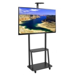 Stojak mobilny Techly 32"-70", 60kg, z półką