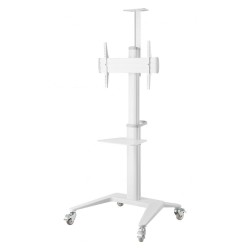 Stojak mobilny Techly 37''-70'', 70kg 2 półki