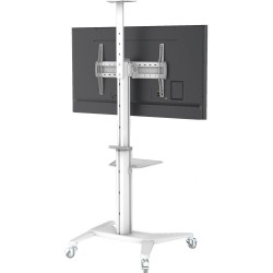 Stojak mobilny Techly 37''-70'', 70kg 2 półki