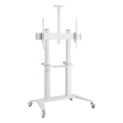 Stojak mobilny Techly 70"-120", 140kg z półką, biały | PartsPC.pl
