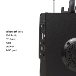 Głośnik przenośny bluetooth Audiocore AC730 radio FM, wejście kart SD/MMC,