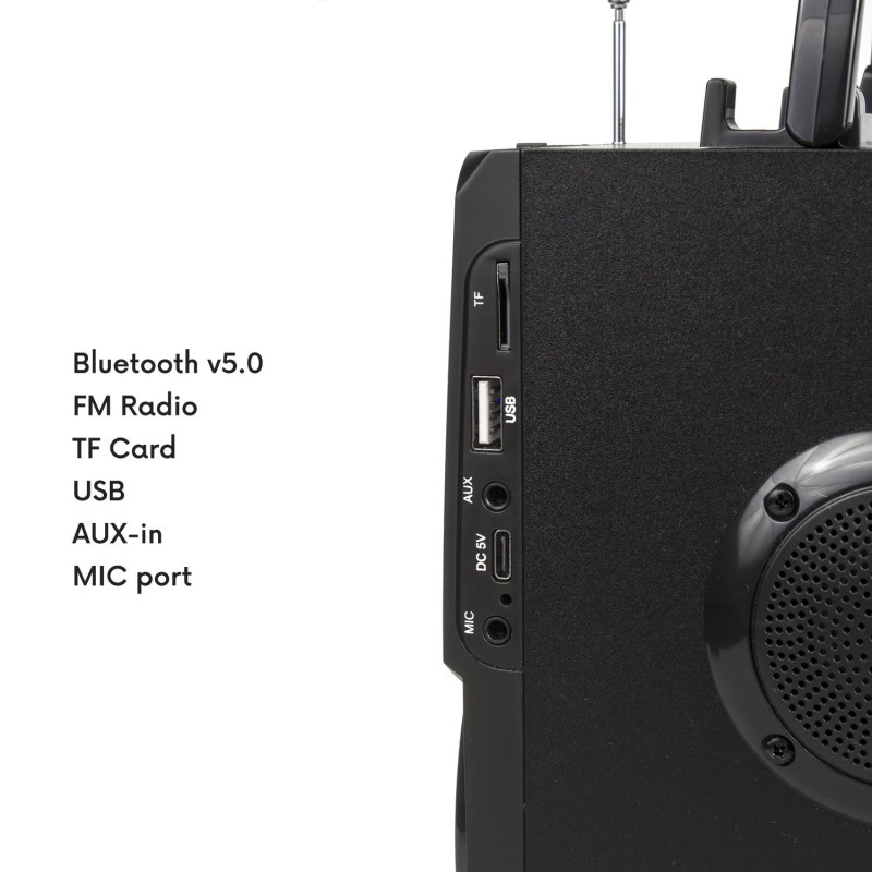 Głośnik przenośny bluetooth Audiocore AC730 radio FM, wejście kart SD/MMC,