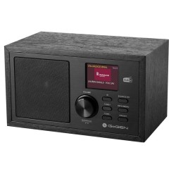 Radio przenośne GoGen DAB620BTCB | PartsPC.pl