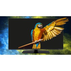 Telewizor GoGEN TVF32M340STWEB 32” - Telewizory | PartsPC.pl
