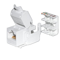 Moduł keystone Jack RJ45 kat. 6 UTP, beznarzędziowy, biały N… | PartsPC.pl