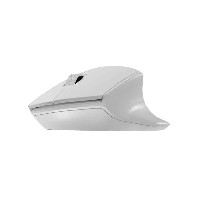 Mysz bezprzewodowa Natec Siskin 2 optyczna 1600 DPI BT 5.0 + 2.4 GHz z