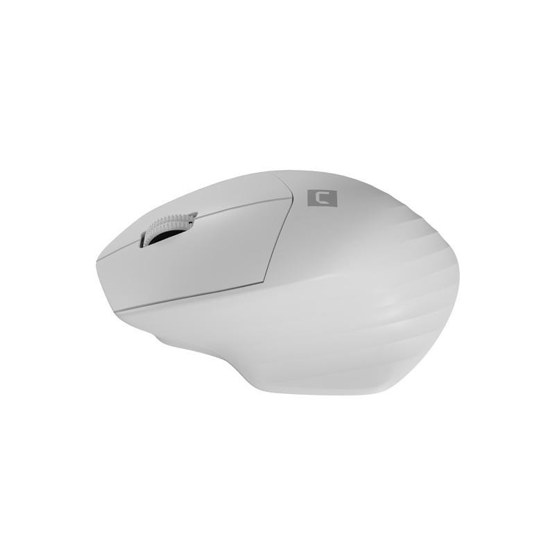 Mysz bezprzewodowa Natec Siskin 2 optyczna 1600 DPI BT 5.0 + 2.4 GHz z